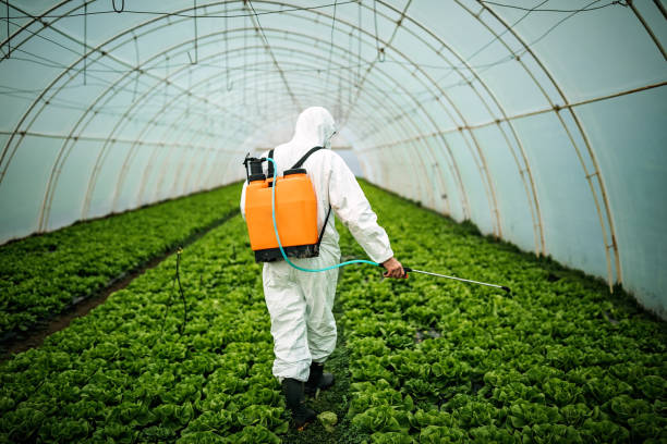 Best Affordable Pest Control Services  in Sedgwick, KS