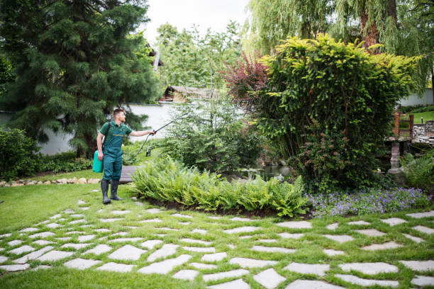 Best Ant Control Services  in Sedgwick, KS