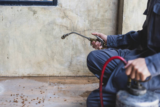 Best Best Pest Control Companies  in Sedgwick, KS
